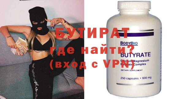 индика Няндома
