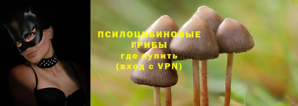 гидропоника Беломорск