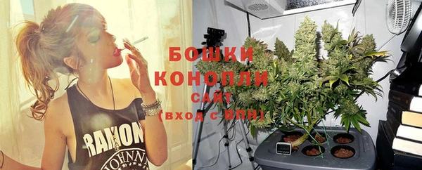 молекула духа Белокуриха
