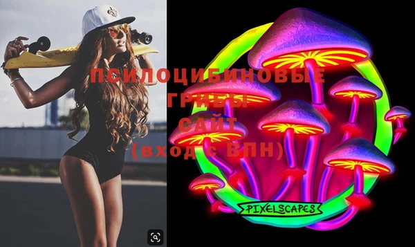 молекула духа Белокуриха