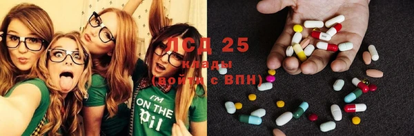 PSILOCYBIN Нязепетровск
